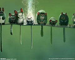 夏季 绿色 壁纸