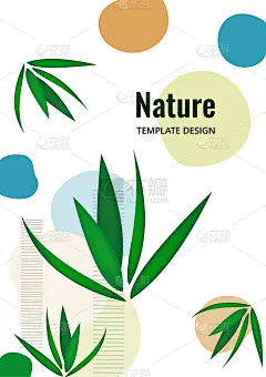 创意流动重叠形状，棕榈叶。天然产品的封面。时尚艺术的封面，海报，互联网，页面，社会，媒体，明信片。向