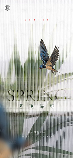 糍粑儿采集到春分
