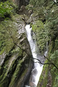美丽的风景瀑布在森林山在四川，中国与绿色的树木
