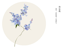 二货菇凉采集到一花一木一世界