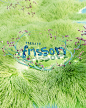 estúdio frisson :: Behance