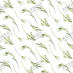 水彩花草背景 【酷图网】花卉,花朵,水彩,花草,植物,叶子,夏季,多肉,手绘,插画,插图,背景,底图,壁纸,元素,装饰,创意,图案,纹样,花纹,肌理,肌底,纹路,底纹,素材,二方连续,四方连续,无缝,小清新,png,png图,PNG图,透明图,免扣图,免扣,免扣素材,透明背景,透明底,PNG,抠图