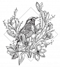 鸟与花朵花枝纹身插画矢量图素材