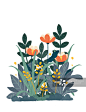 植物,插图画法,插画,花簇,夏天正版图片素材