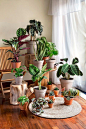 "Your Houseplants Are Judging You" Fun quick read fromThe New Yorker. What our plants are really thinking.