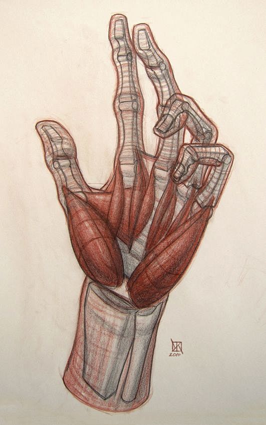 Anatomy Demos via Pi...