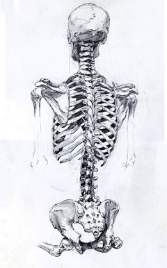 黑夜中的芒曜采集到skeleton (骨頭)