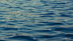 平静的水面波浪纹理背景壁纸