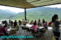 20090611_cameron-highland_0408