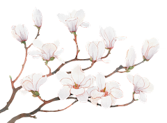 生生不息644采集到花鸟