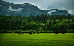 超级超级高清的平板电脑壁纸 - 小红书