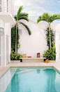 Like the planting around and behind the palms