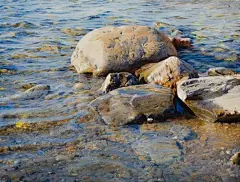 CG窝插画原画手绘板绘画美术设计的照片 - 微相册