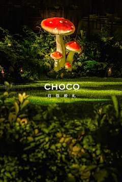 MRChocolate采集到婚礼