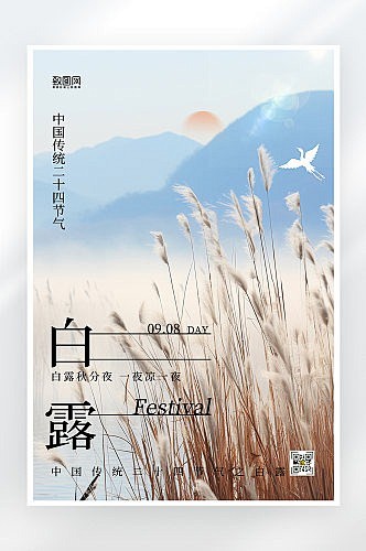 简约大气白露节气海报