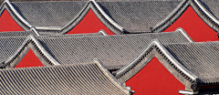 Momo-pupu采集到画册