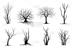 黑枝树或裸树的轮廓设置。手绘孤立的插图.