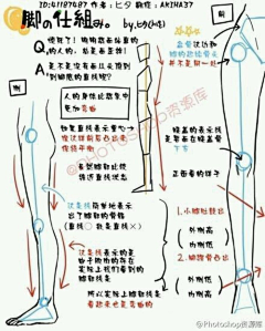 咸鱼发采集到腿、足素材