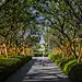 长沙梦想隐麓天境 现代 住宅景观 植物 草坪 台阶 夜景 灯光 主入口 SED新西林景观国际，拥有国家高新技术企业资质，国家风景园林工程设计专项甲级资质，业务范围：景观都市环境设计、住宅及社区景观设计、商业地产景观设计、养老地产及产业园区景观设计、酒店及度假景观设计、城市规划景观设计