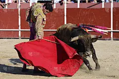 斗牛士,人,风险,仅一个男人,演出服,动物保护,茄克,斗牛场,户外,动物