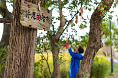 桃之不妖采集到文旅/美丽乡村