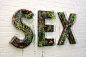 SEX    by Doug Aitken