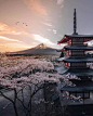[ 独角镜 ] 这个日本摄影师，一组富士山街景在ins上获得超300万赞！ : 诗意富士山，浪漫樱花情