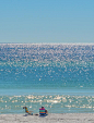 其中包括图片：Beautiful White Sand Beach Of Miramar Beach On The Gulf Of Mexico In South Walton, Florida Editorial Stock Image - Image of white, park: 234467524