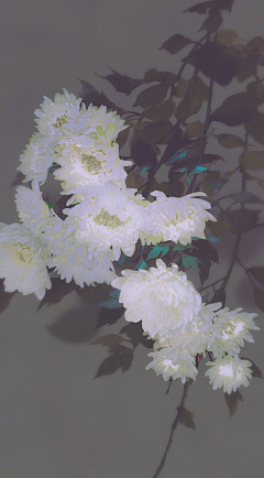 宁霜霜采集到古风花卉