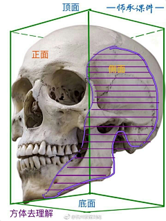 GTCG采集到头像基础