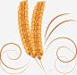 金色谷物麦穗手绘图图标 麦穗 麦穗图标 UI图标 设计图片 免费下载 页面网页 平面电商 创意素材