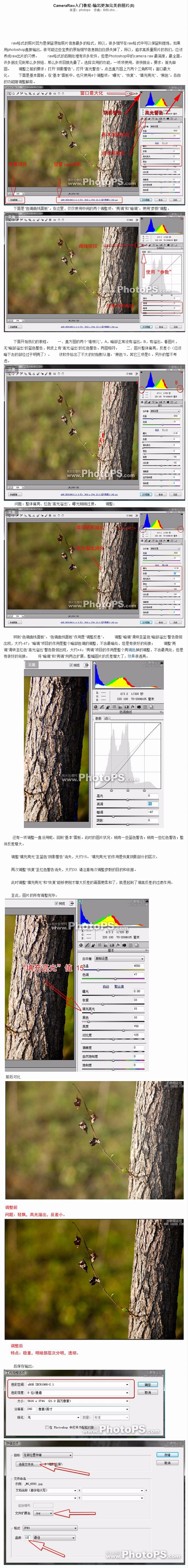 CameraRaw入门教程-输出更加完美...