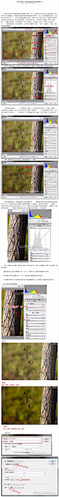 CameraRaw入门教程-输出更加完美的图片(8)_技巧教程_photoshop教程