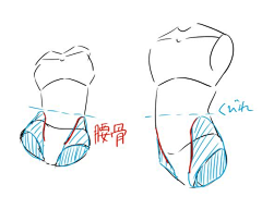 07零柒zeroseven采集到人体参考