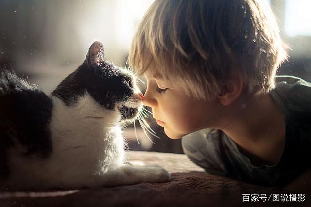 原来孩子和猫咪一起拍照，是这么的美！