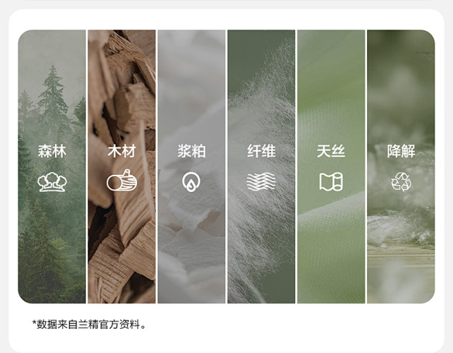 有棵树莫代尔内裤女士中高腰纯棉全棉抗菌裆...