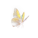 Realistic Butterfly Overlay_Walllow_03