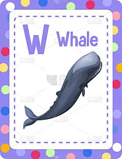 字母W代表鲸鱼