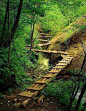 锯齿形的桥梁，中国
Zig Zag Bridge, China