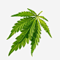 点击查看源网页