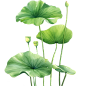 花瓣素材_植物通用清新插画绿色荷花荷叶元素素材_193467014