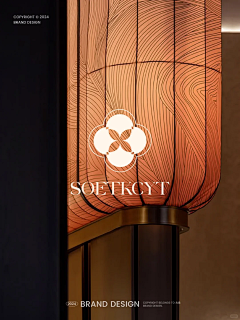 Seneid_fa采集到V-VI-logo