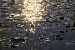 夕阳下闪耀的大海