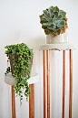 DIY Cement & Copper Plant Stands by Claire Zinnecker | photos by Claire Zinnecker for Camille Styles