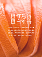 ICEFRESH丹麦进口三文鱼鱼柳400g（225g+175g)-tmall.com天猫