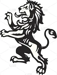 狮子猖獗的3