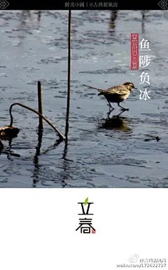 古典新风尚的照片 - 微相册