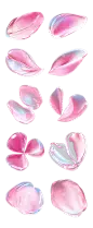 素材组合-3D立体粉色花瓣贴纸1