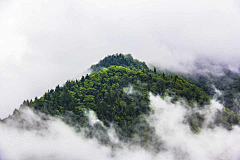 一片糖衣采集到山/林/自然